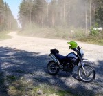 Pölyvä!