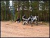 HPIM0570.JPG