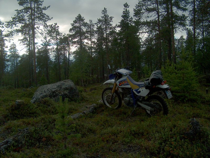 HPIM1212.jpg