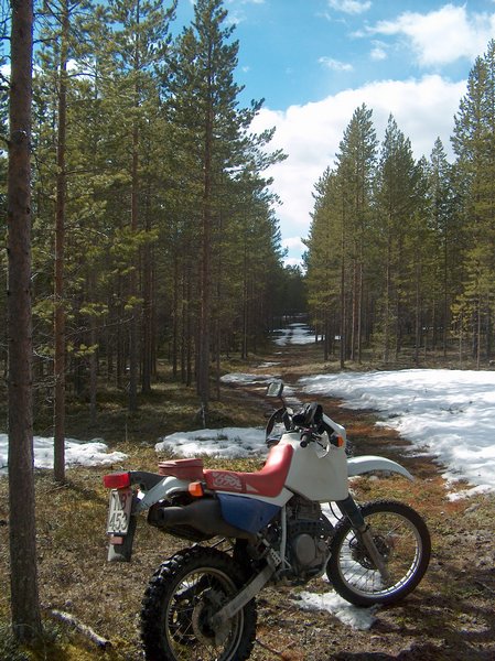HPIM0972.jpg