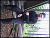 Kuva(238).jpg