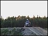 DSC00202.JPG