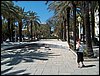 HPIM0387.JPG